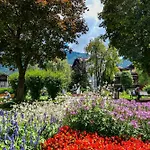 Apartman Haid