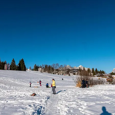 Haid Seefeld in Tirol